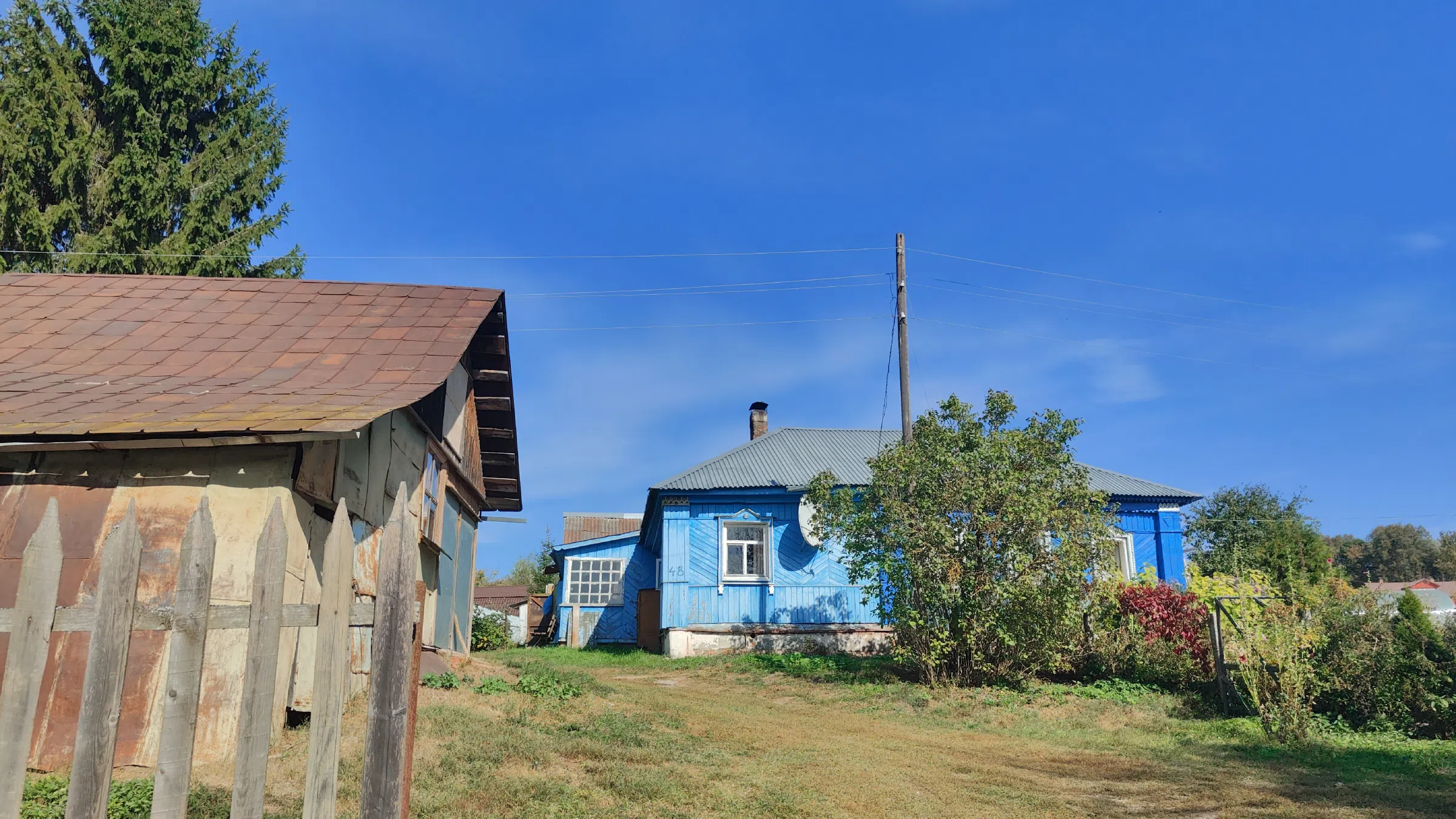 Голубая дача у леса, фото 3