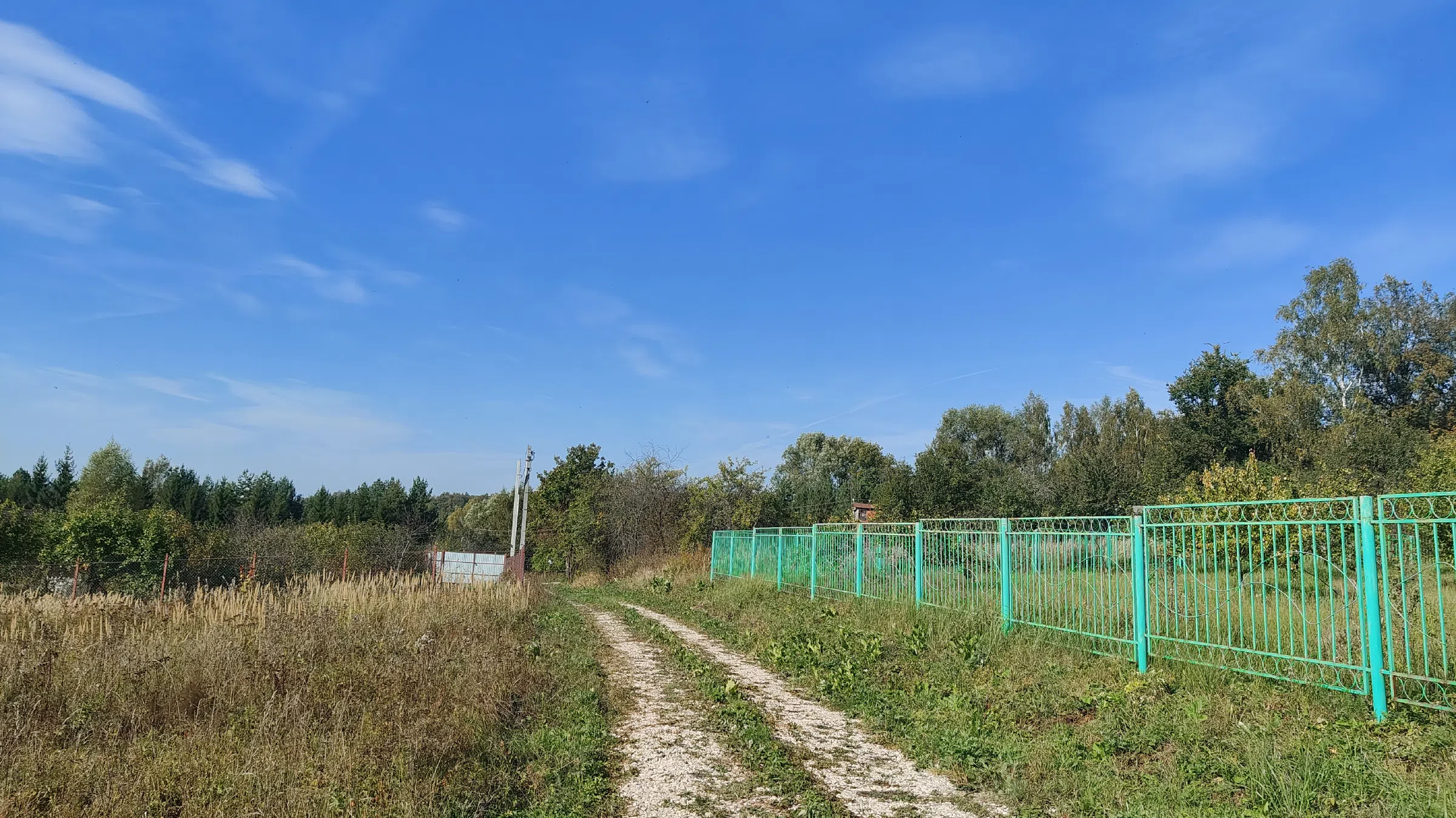 Голубая дача у леса, фото 16