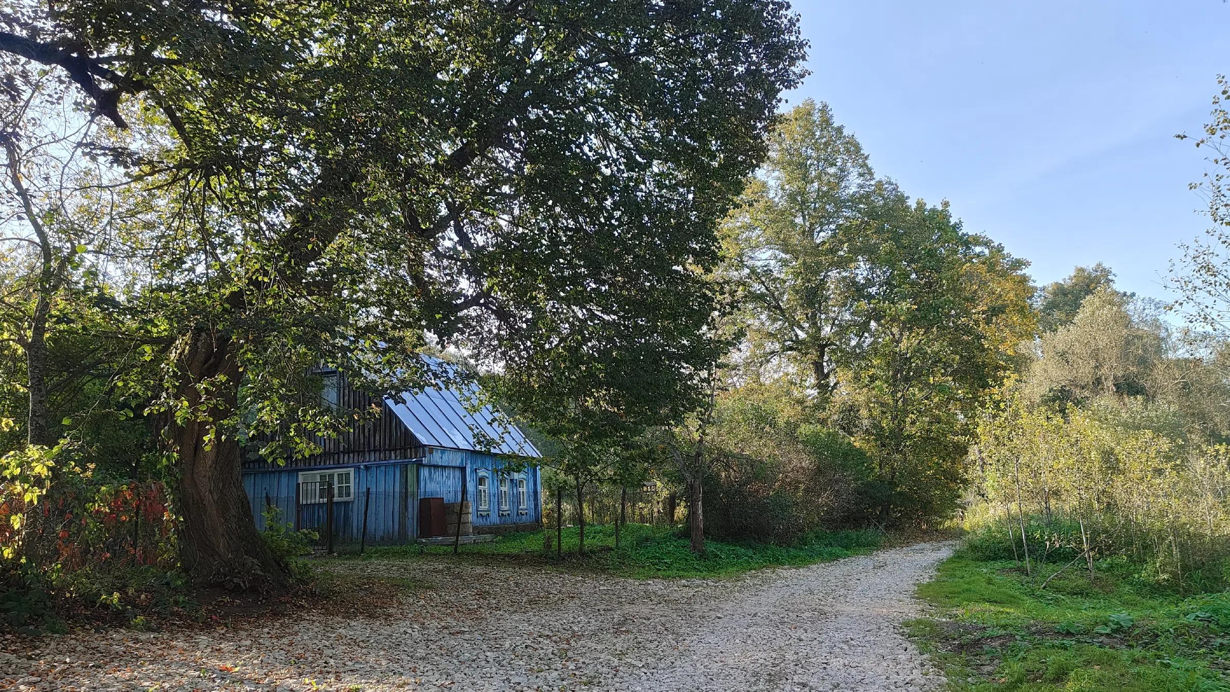 Дача в лесу с церковью, фото 5