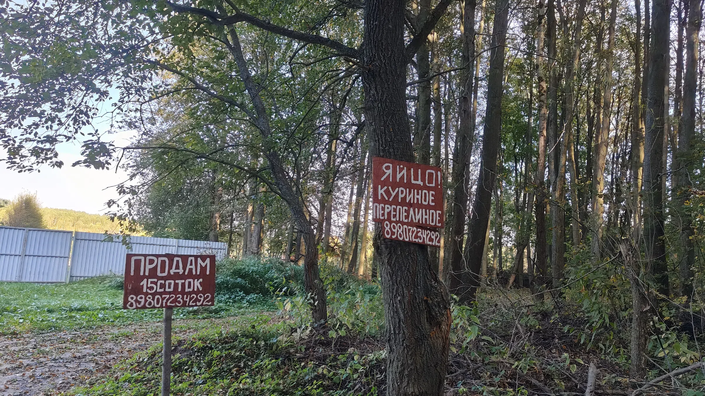 Дача в лесу с церковью, фото 1