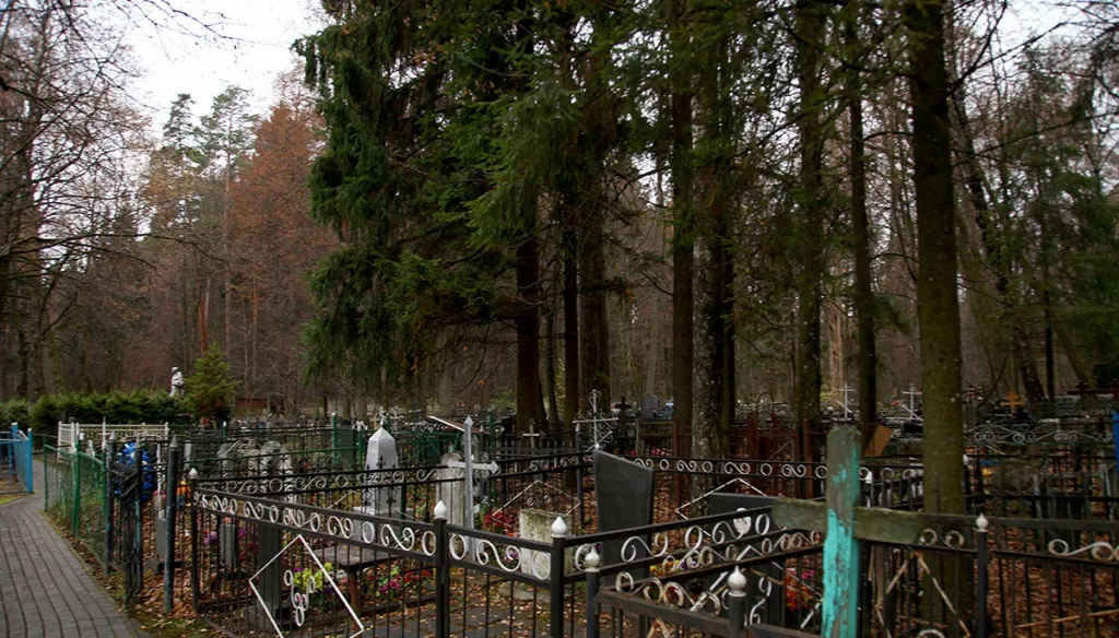 Церковь в старом лесу, фото 1