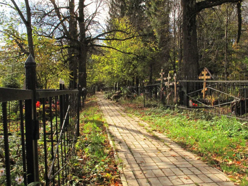 Церковь в старом лесу, фото 6