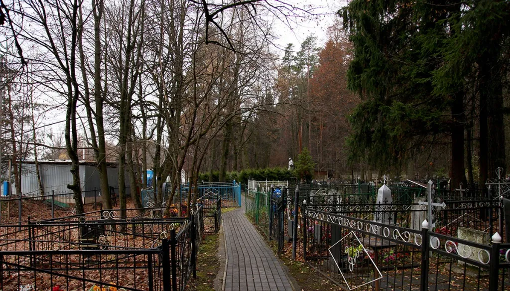 Церковь в старом лесу, фото 2
