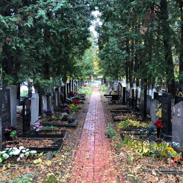 Кладбище с арками, фото 3