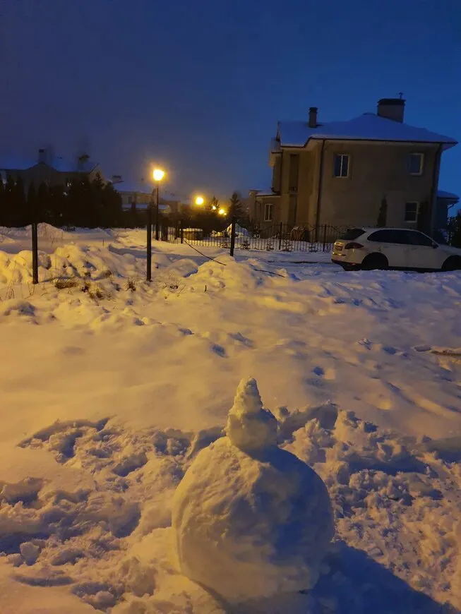 Хвойный дом с верандой, фото 3