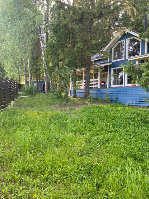 Дача в хвойном лесу, фото 18
