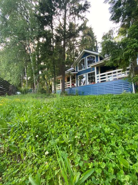 Дача в хвойном лесу, фото 19