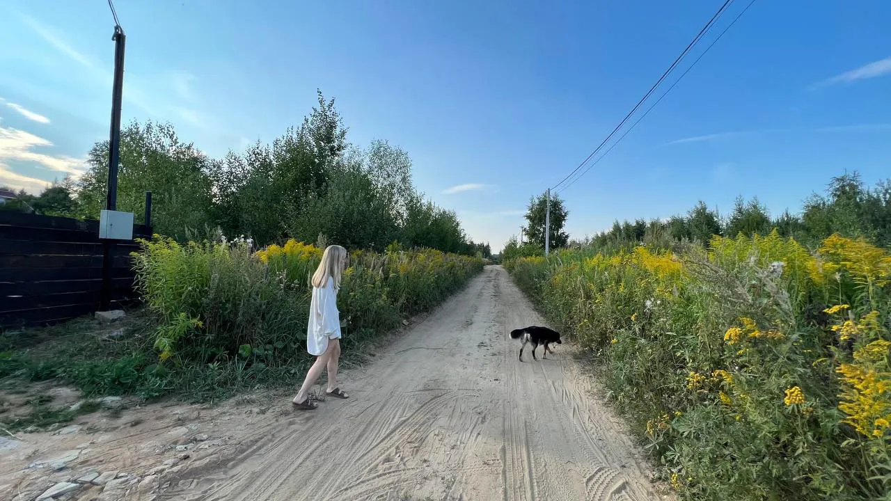Дача в лесу, фото 2