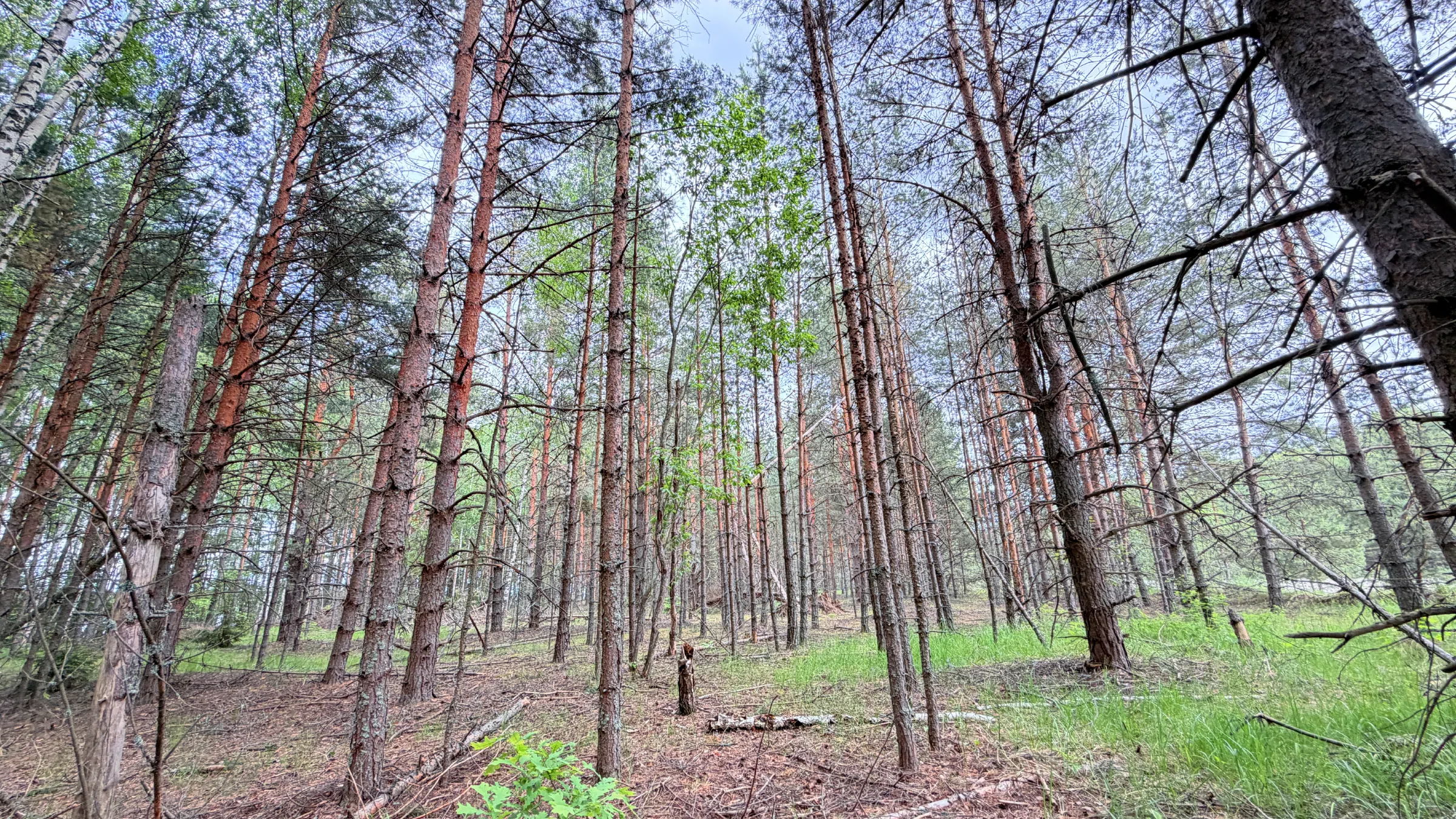 Аэродром взлетка (133км от Усадьбы), фото 5