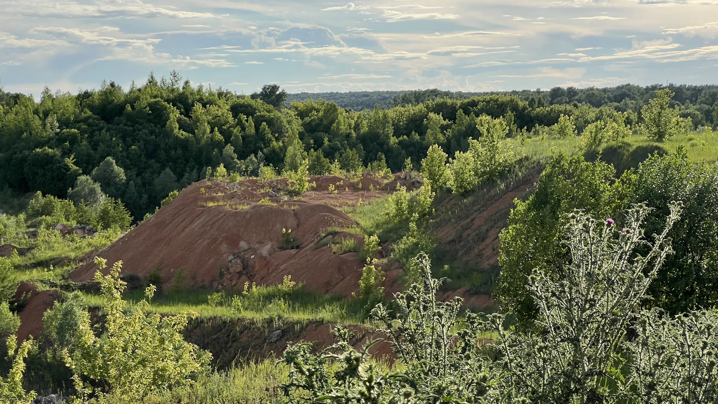Каменищенский карьер (172 км), фото 3