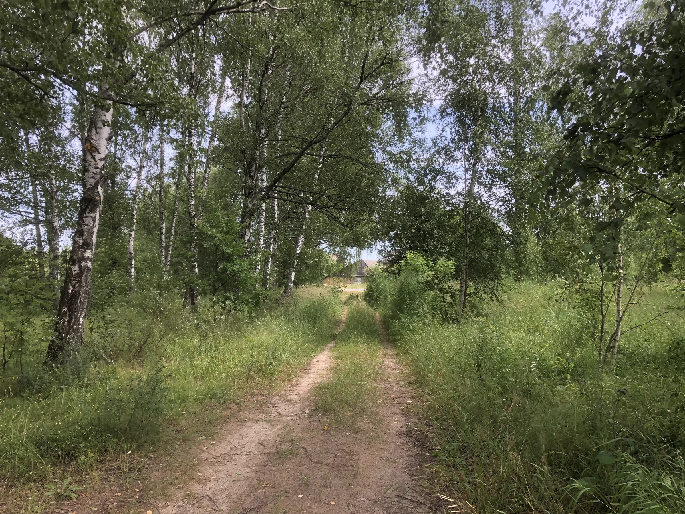 Вышка на Рыловской горе (99 км), фото 3
