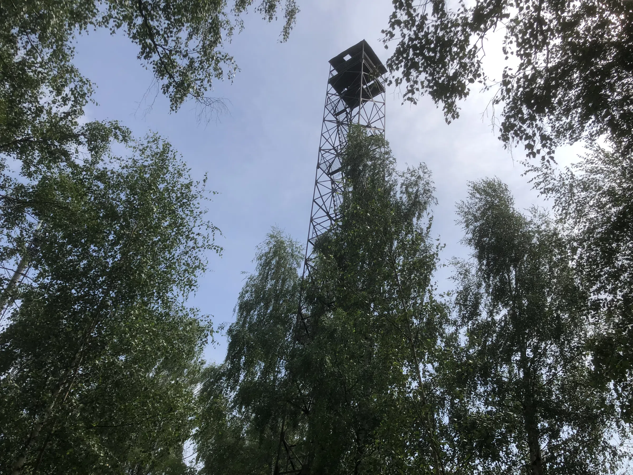 Вышка на Рыловской горе (99 км)