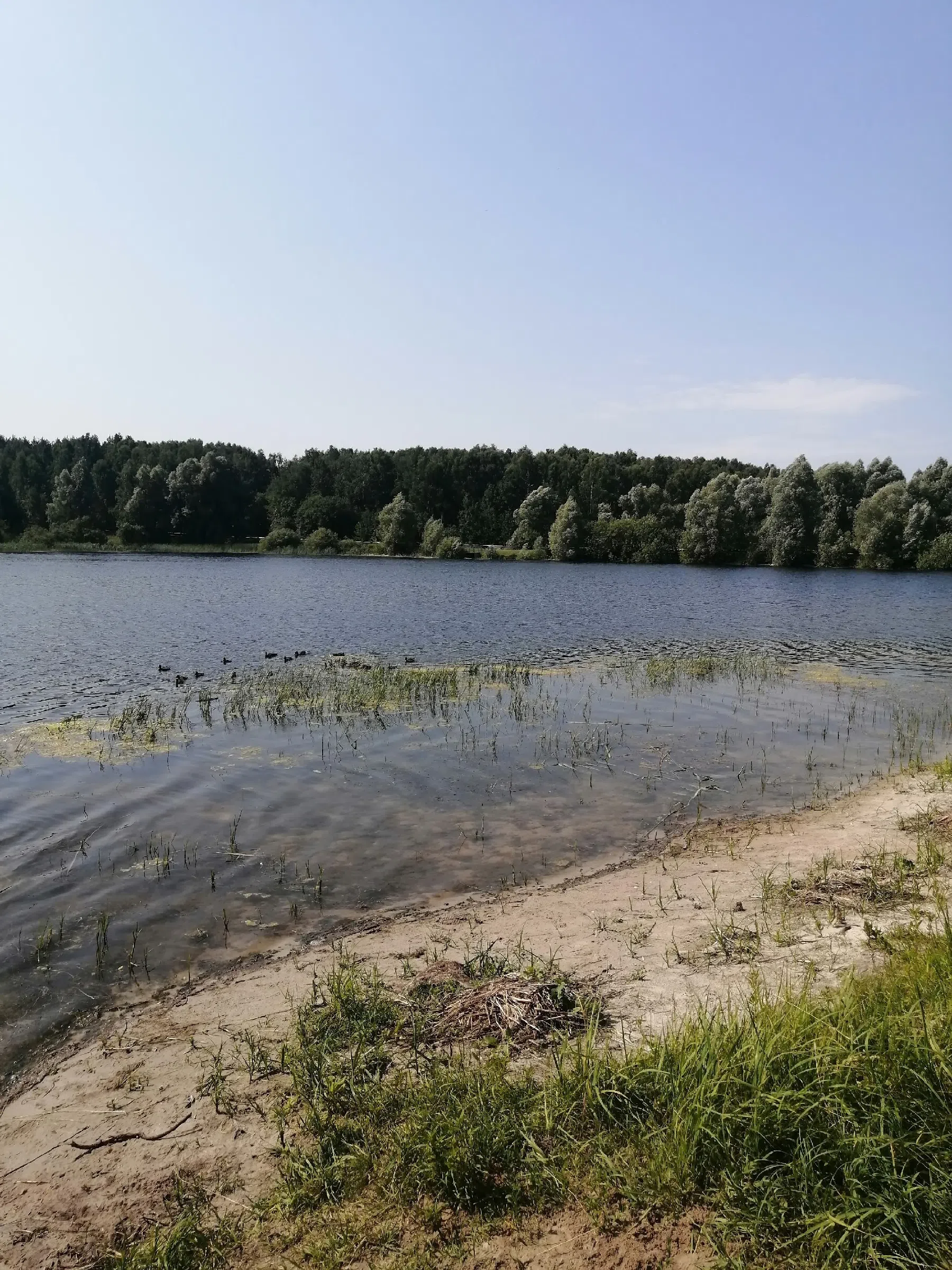 Озеро Шумиловское (25 км), фото 3