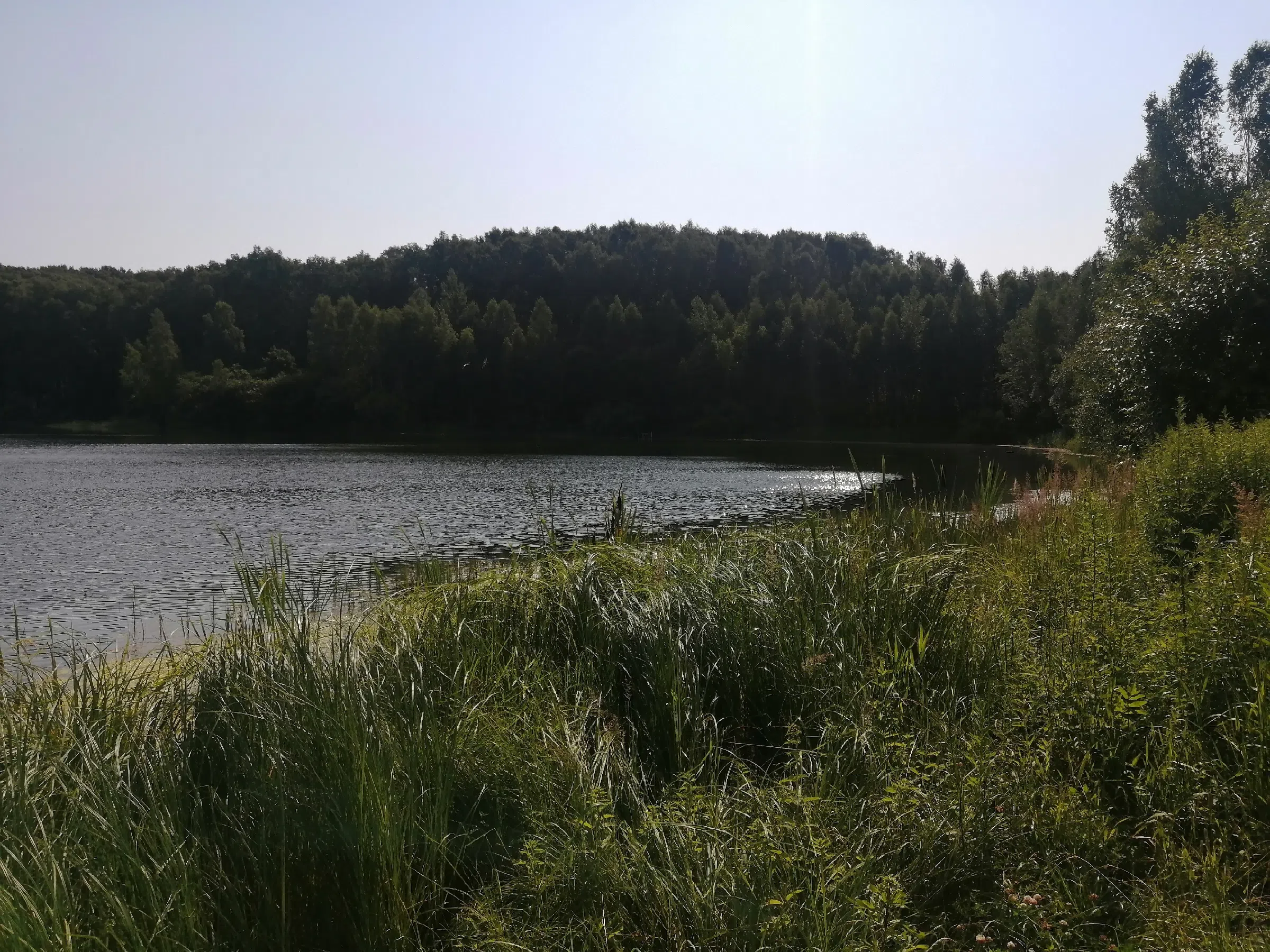Оринкинское Озеро (27 км), фото 8
