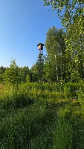 Исследовательский полигон Зимёнки НИРФИ (ВЫШКА), фото 1