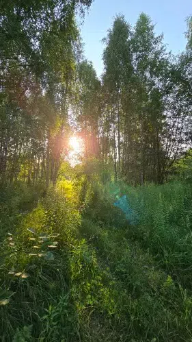 Исследовательский полигон Зимёнки НИРФИ (ВЫШКА), фото 5