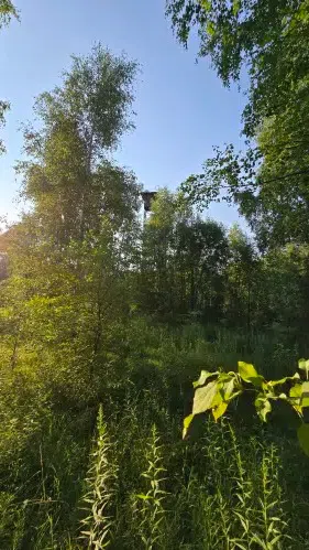 Исследовательский полигон Зимёнки НИРФИ (ВЫШКА), фото 4