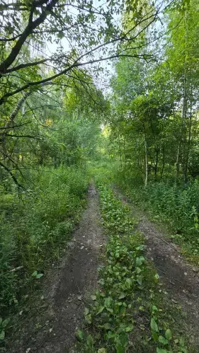 Исследовательский полигон Зимёнки НИРФИ (ВЫШКА), фото 6