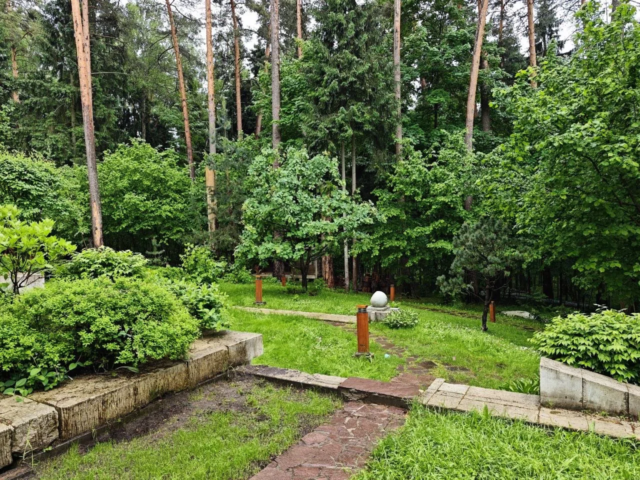 Большой современный дом в лесу, фото 4