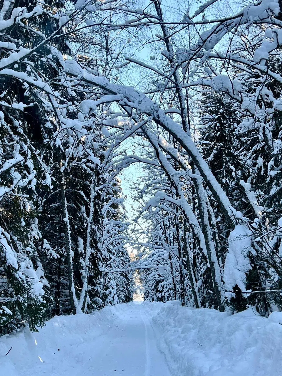 Древнерусская усадьба , фото 18