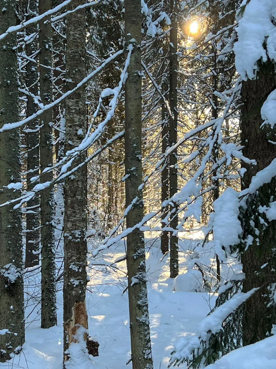 Древнерусская усадьба , фото 14