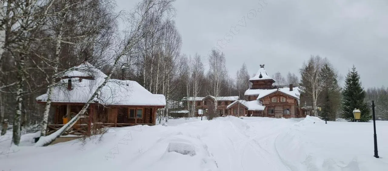 Древнерусская усадьба , фото 1