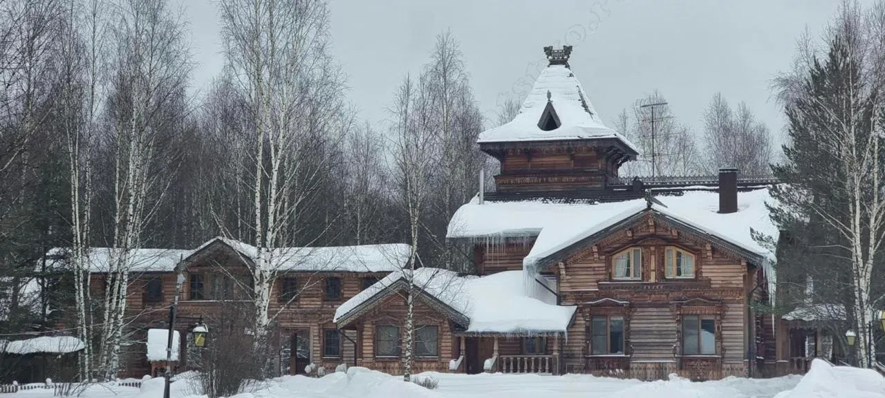 Древнерусская усадьба , фото 10