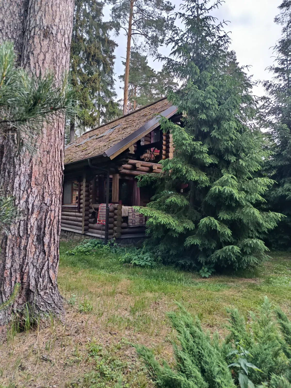 Сказочный дом , фото 21