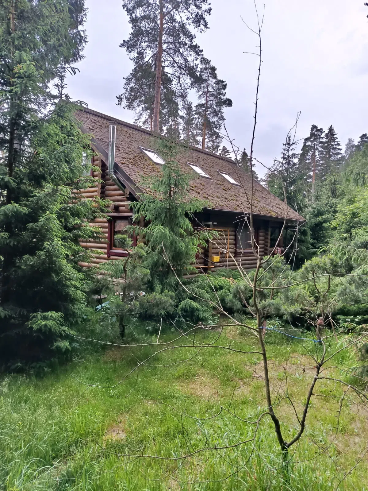 Сказочный дом , фото 13