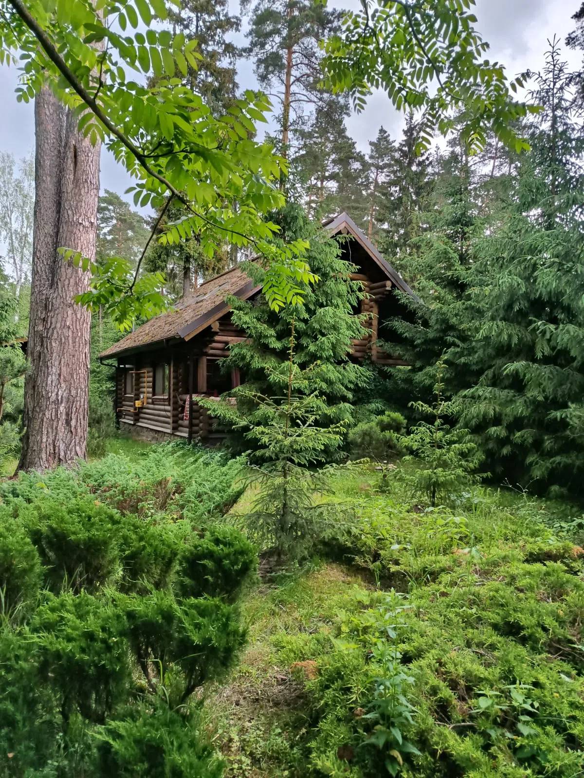 Сказочный дом , фото 15
