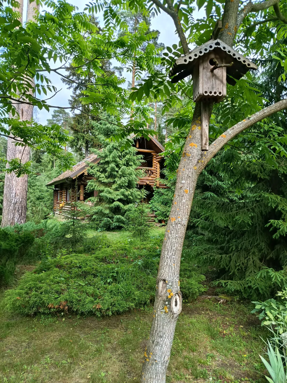 Сказочный дом , фото 5
