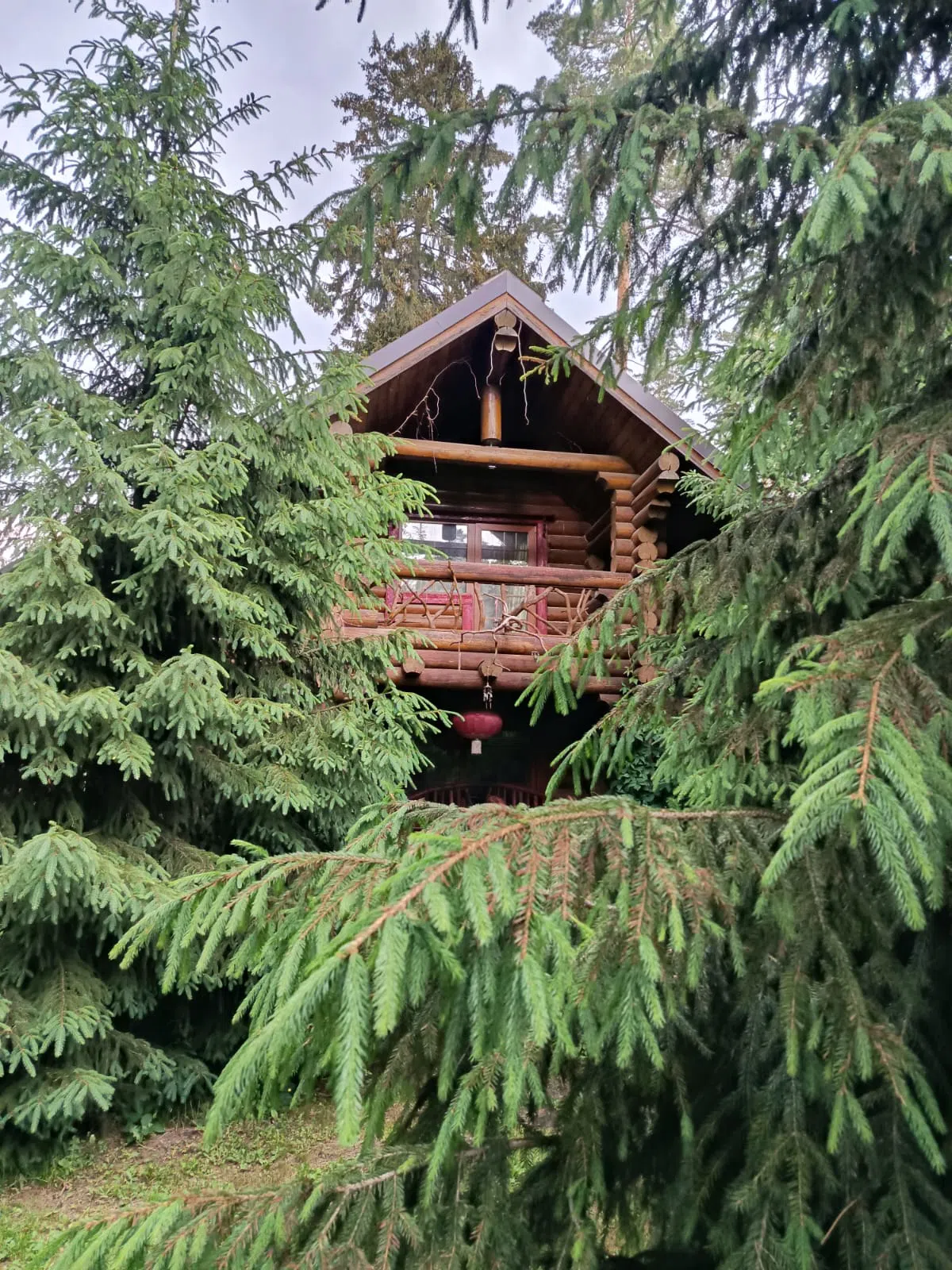 Сказочный дом , фото 4