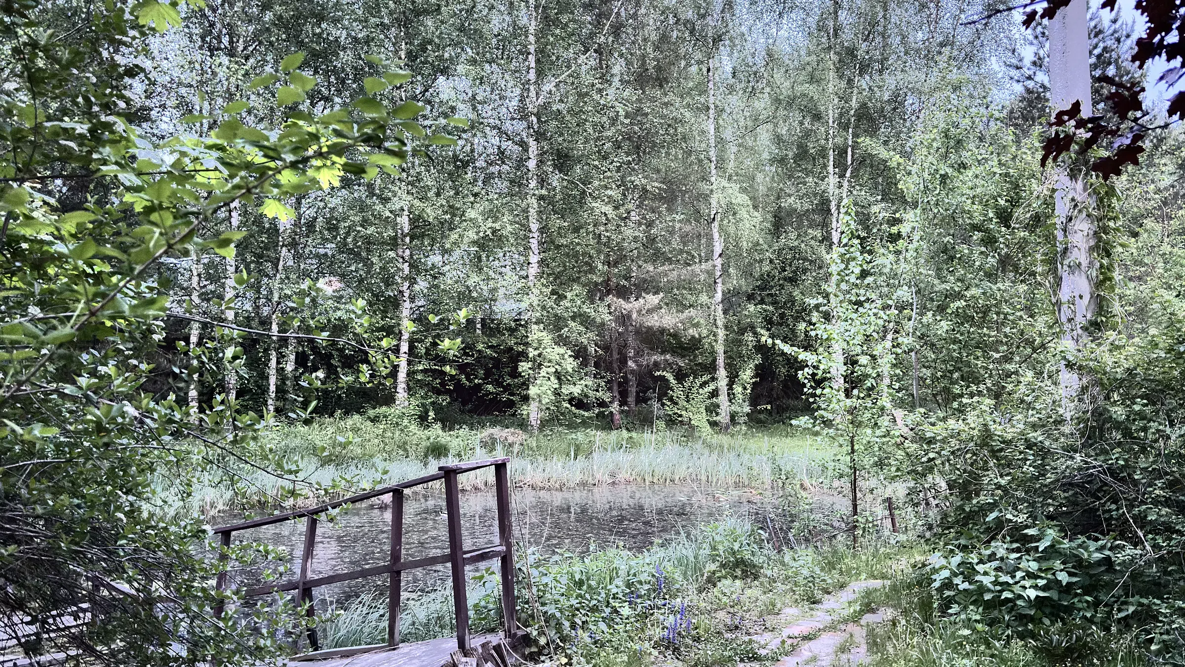 Черный дом из бруса , фото 12