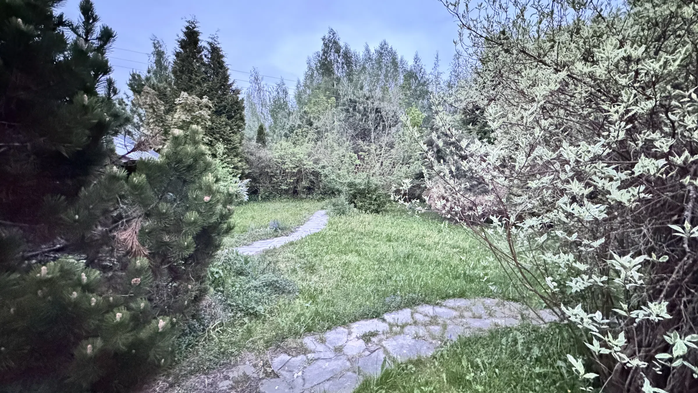 Черный дом из бруса , фото 1