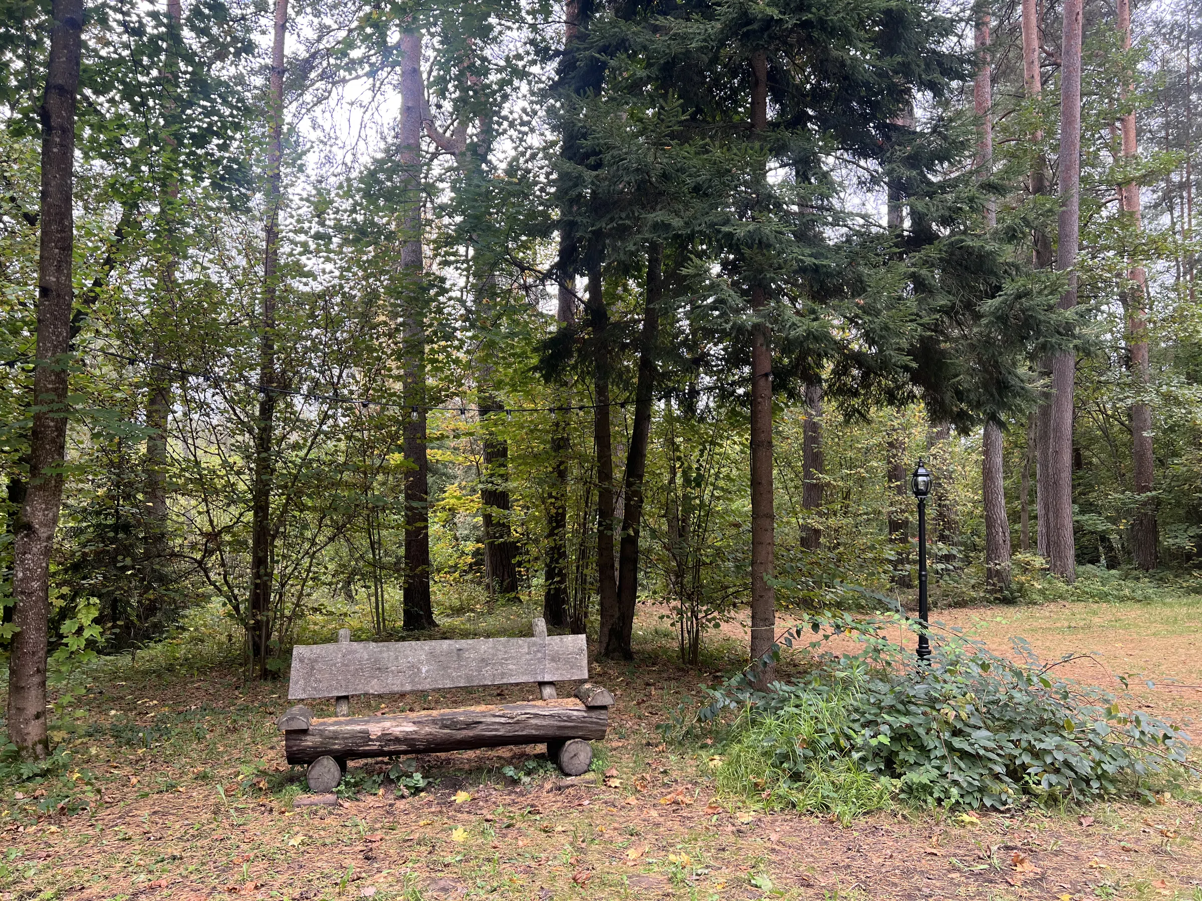 Знаменитая историческая дача, фото 10