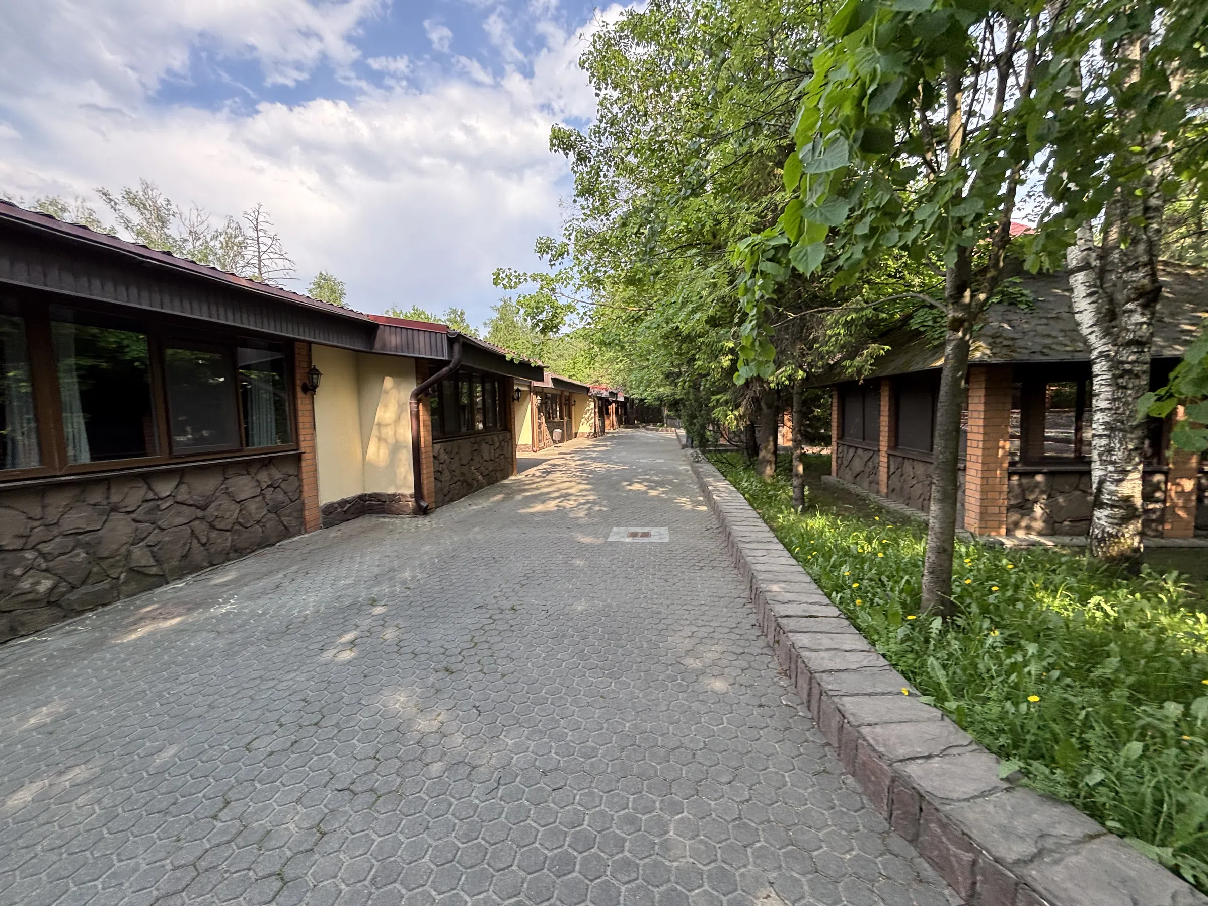Ресторан в стиле 90-2000х, фото 11