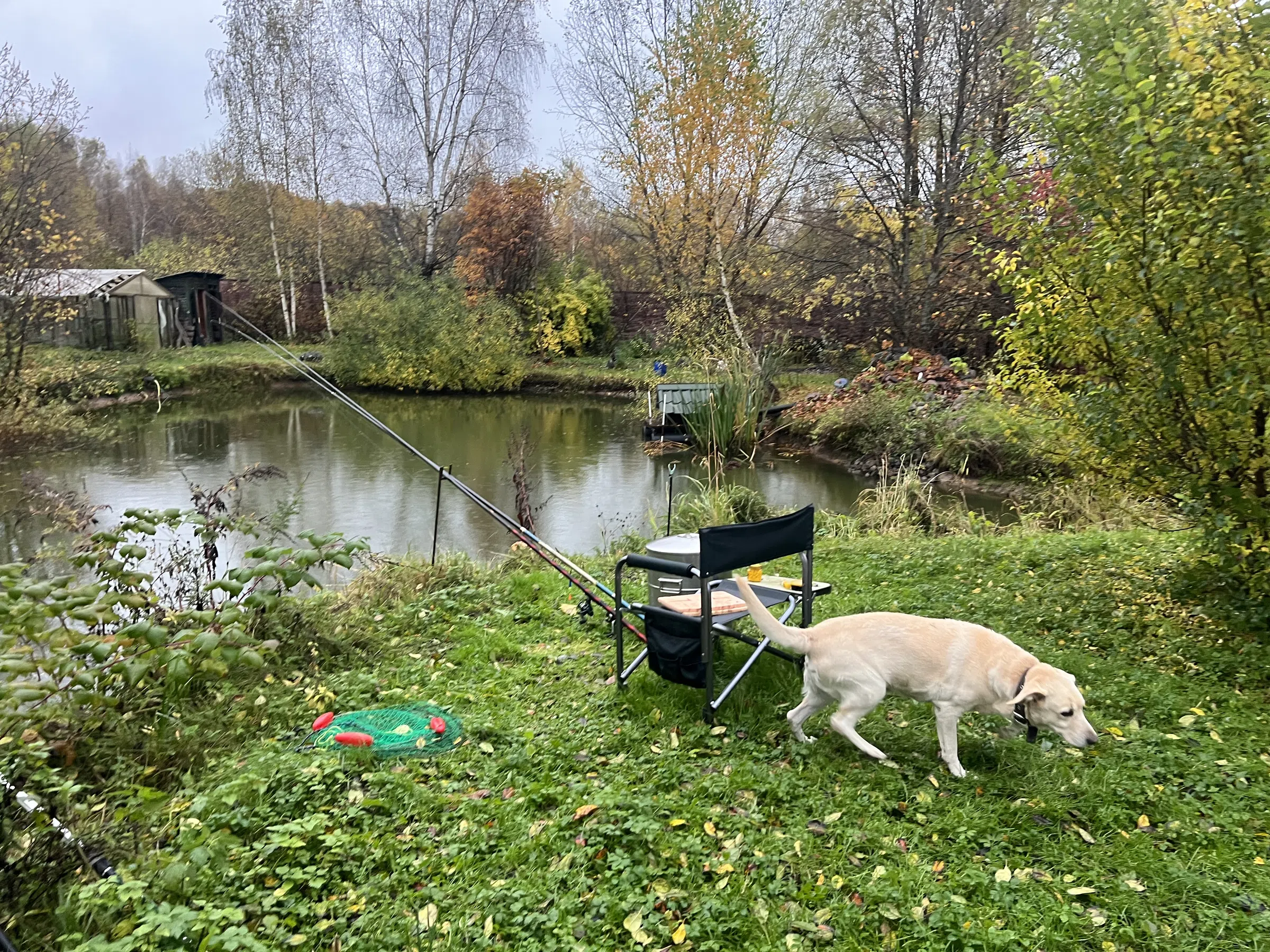 Дом в отделке деревом, фото 12