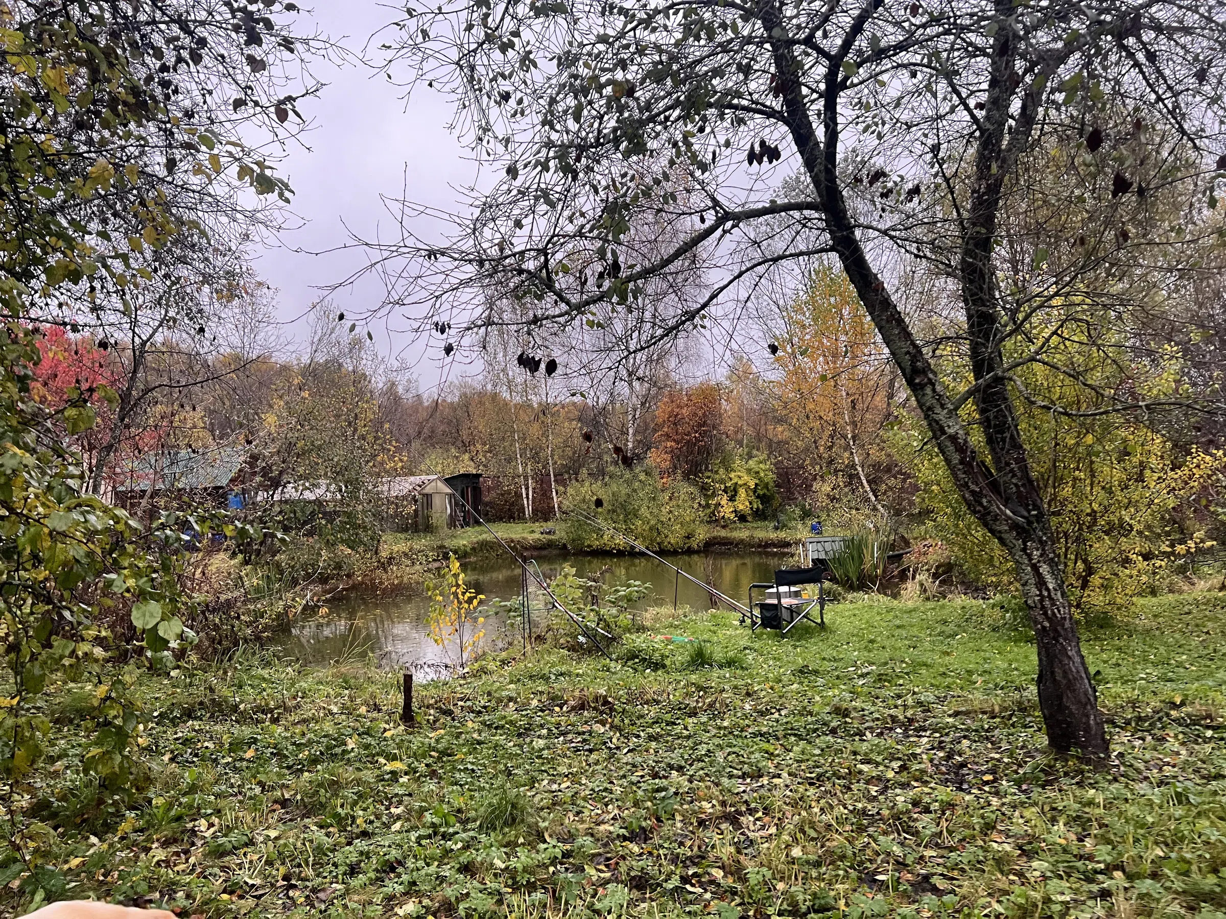 Дом в отделке деревом, фото 8