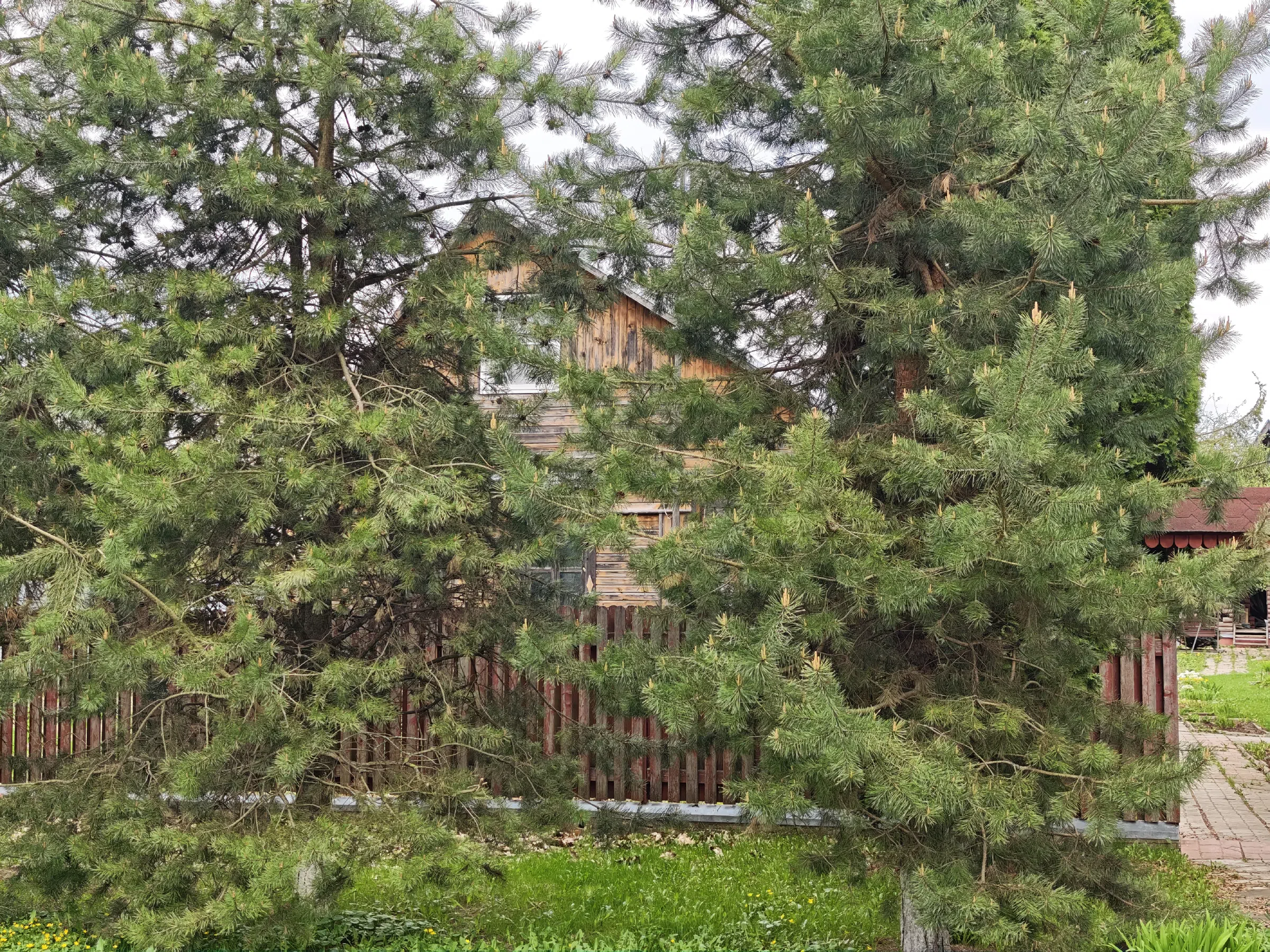 Кирпичный дом с баней, фото 15