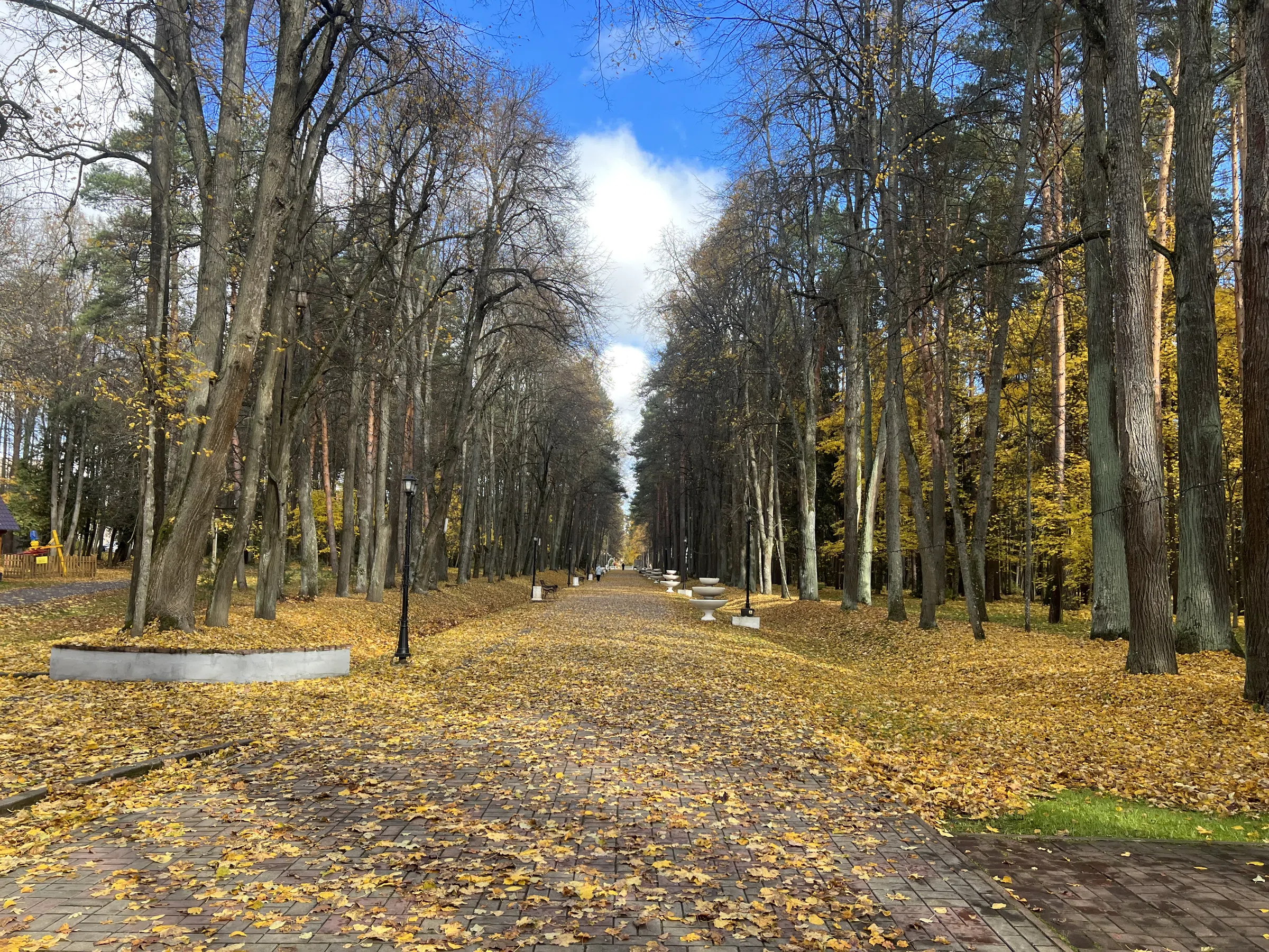Дом отдыха "Снегири", фото 3