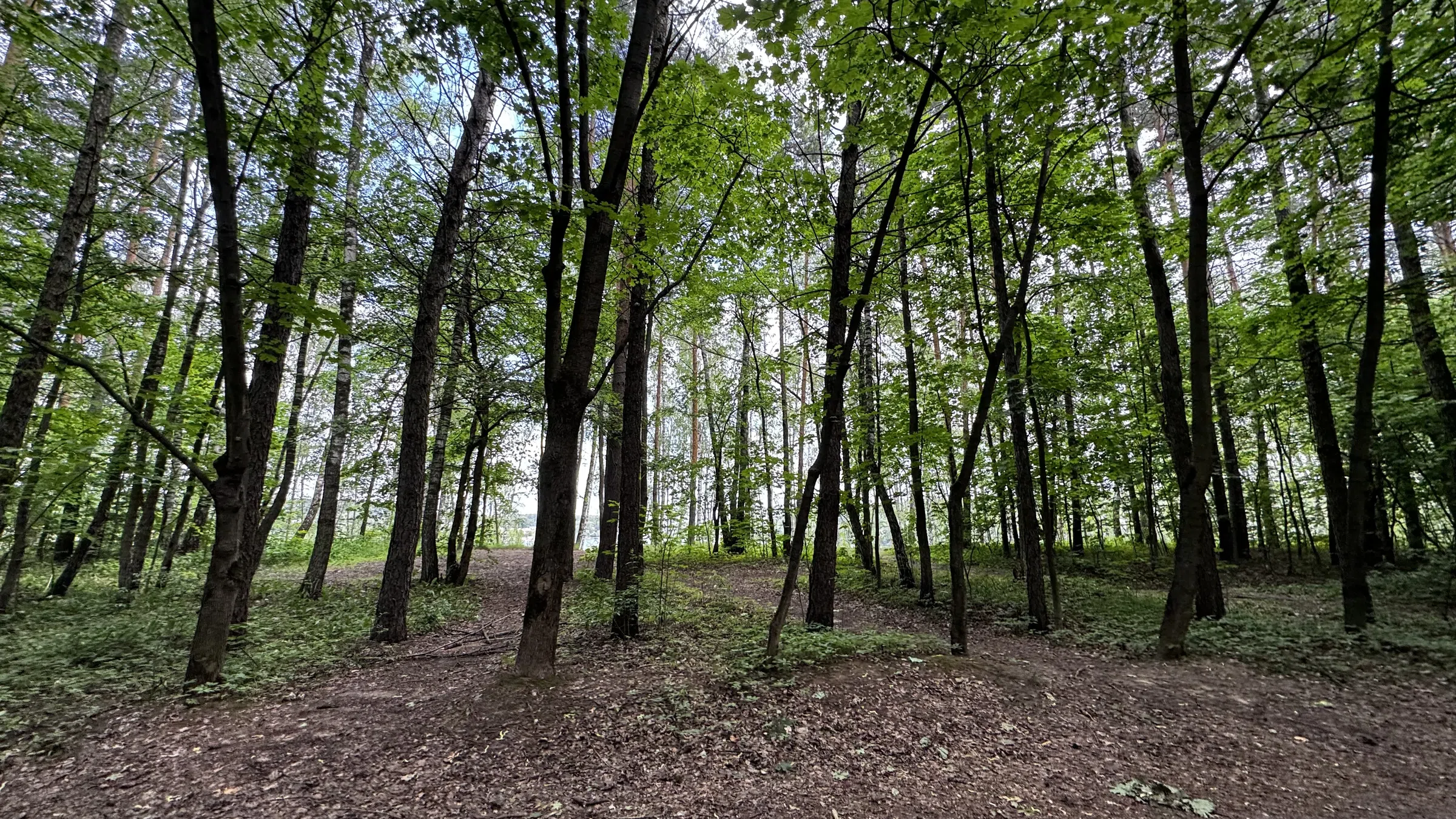 Карьер, Дзержинский , фото 24