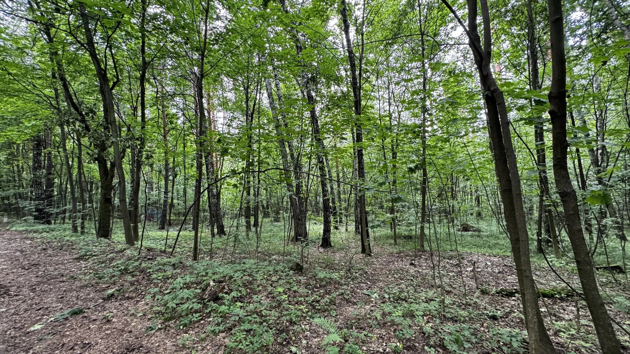Карьер, Дзержинский , фото 21