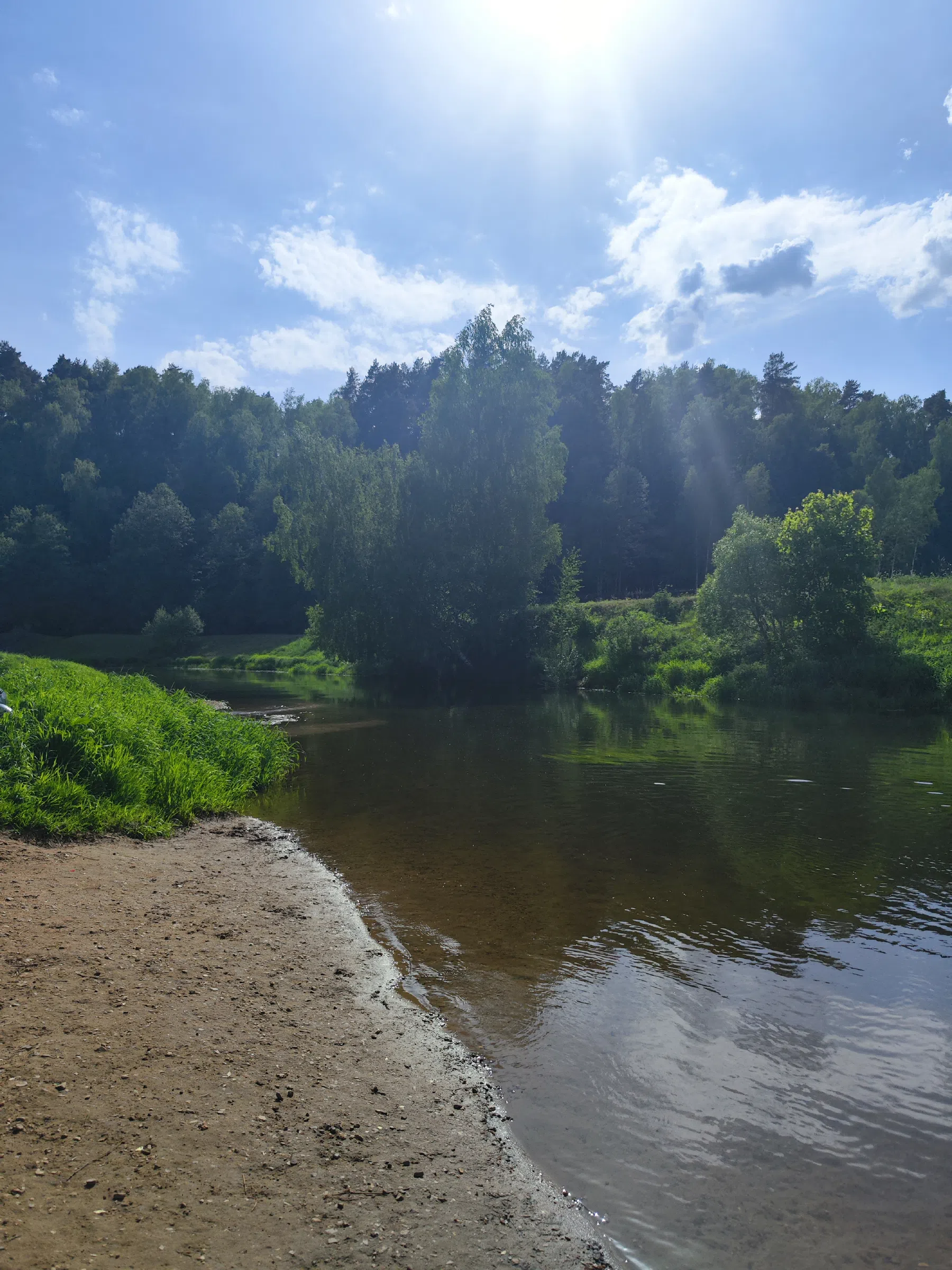 Лесная дорога к реке Истра, фото 16