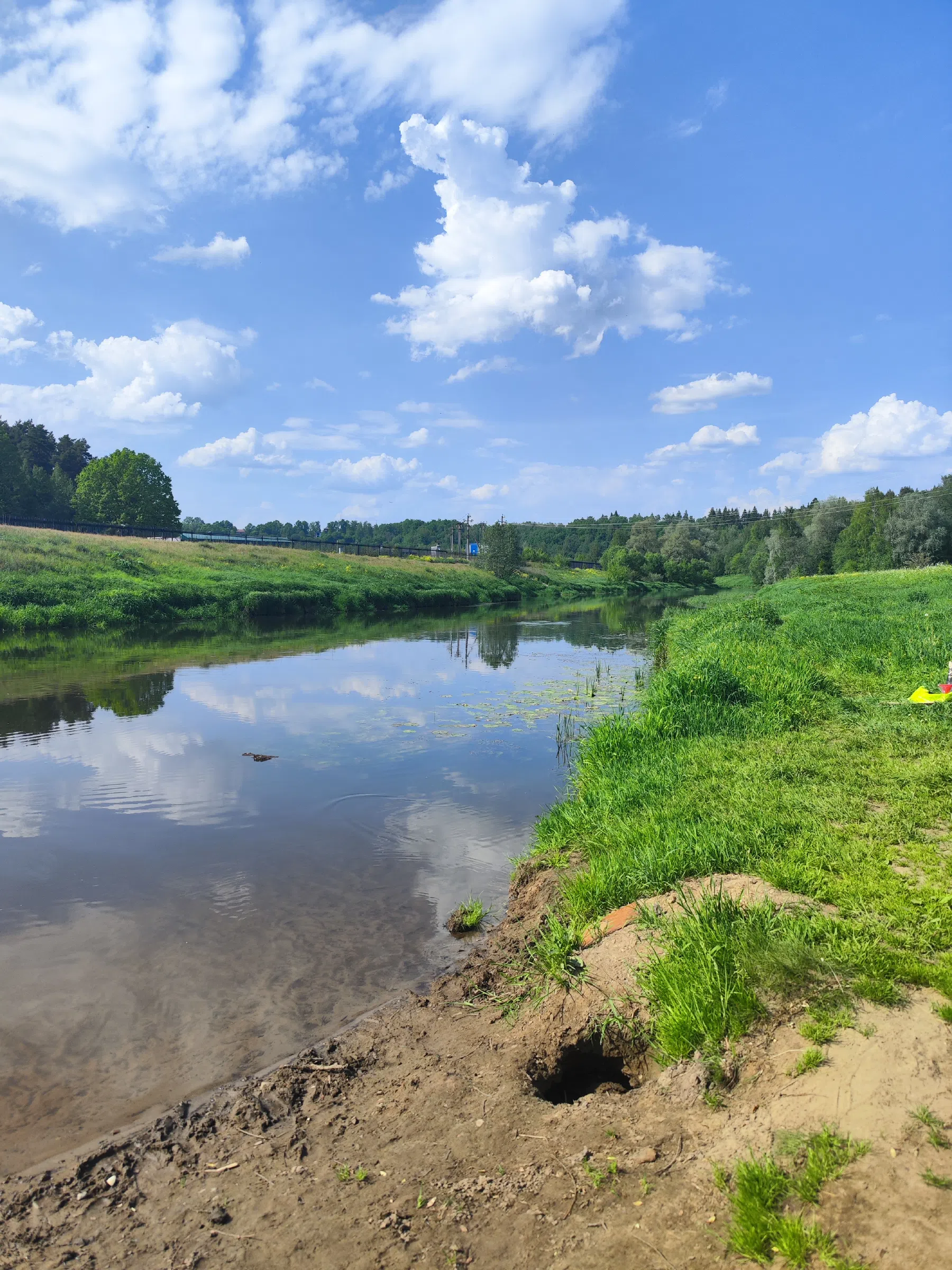 Лесная дорога к реке Истра, фото 15