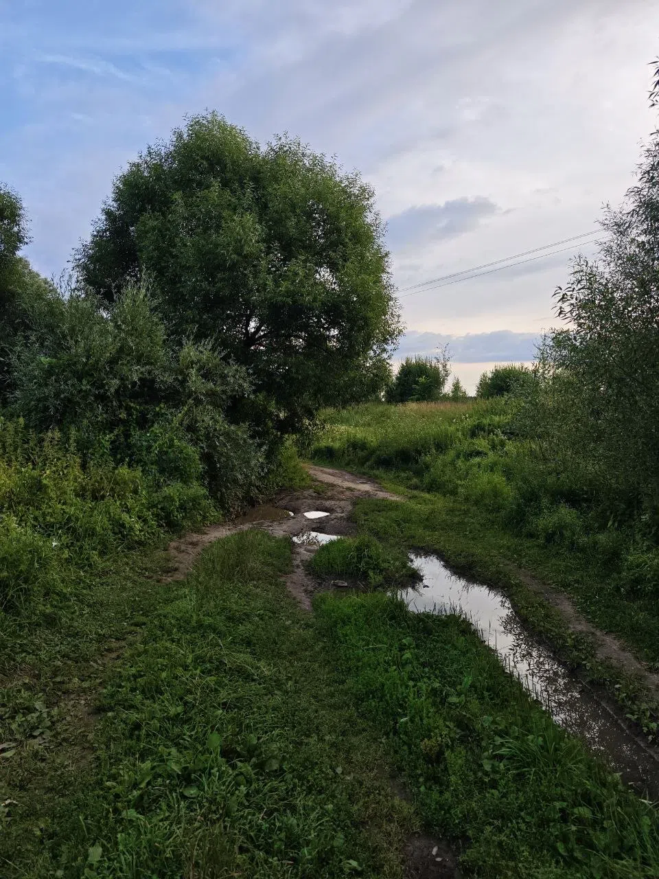 Поля, луга, дороги, фото 2