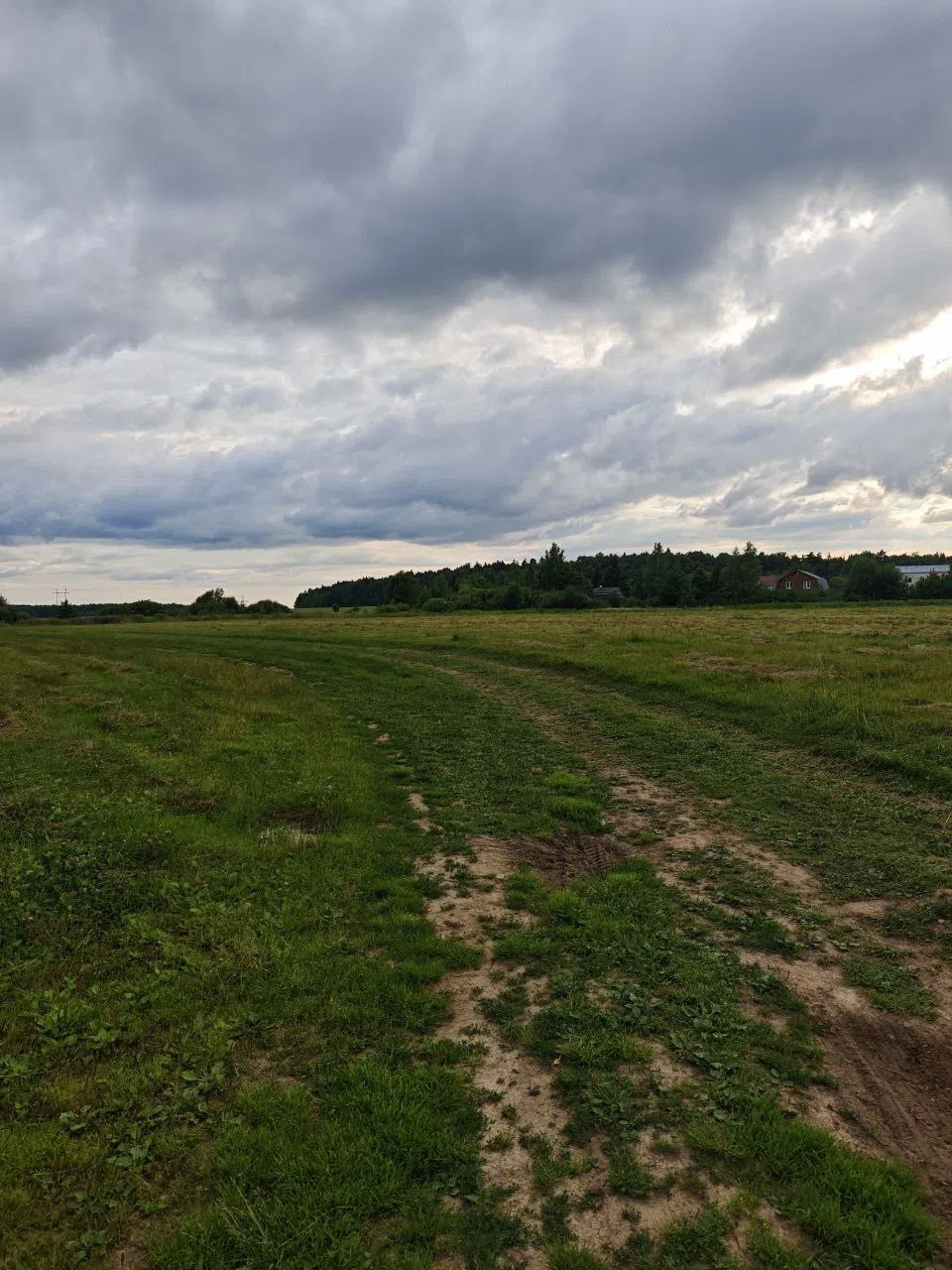 Поля, луга, дороги, фото 6