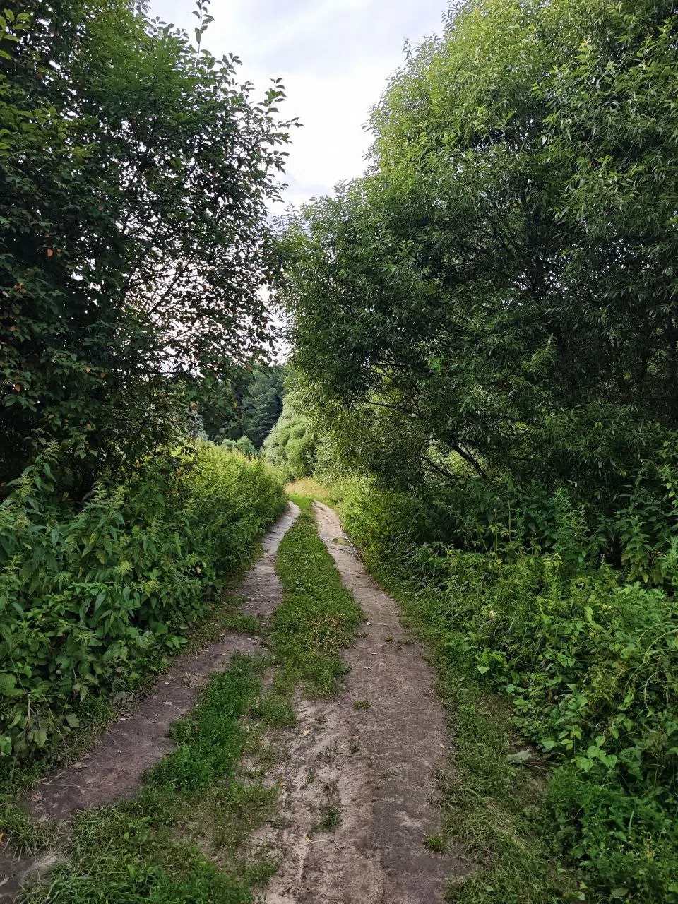 Поля, луга, дороги, фото 3