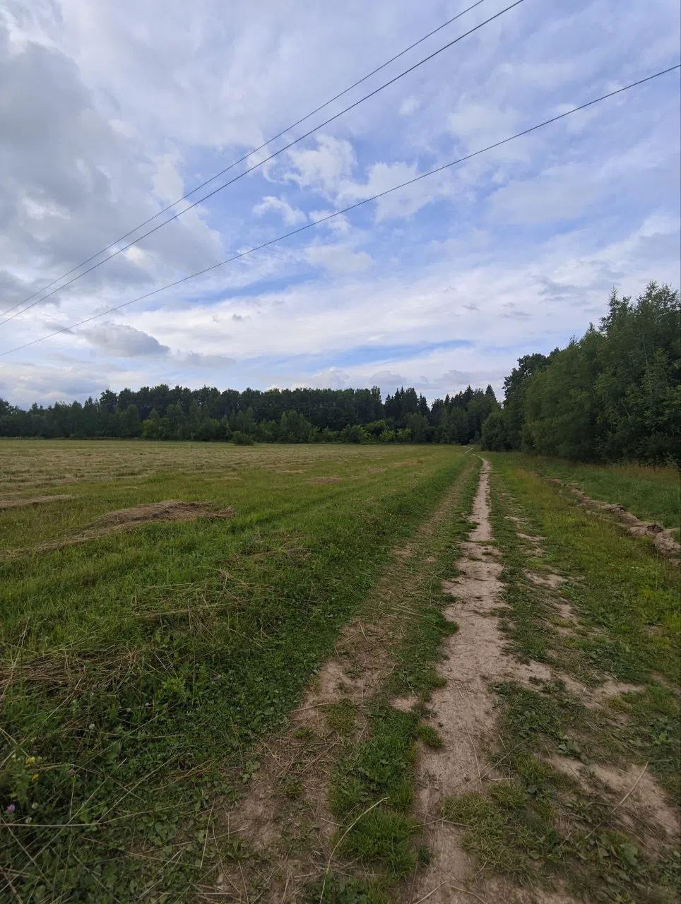 Поля, луга, дороги, фото 4