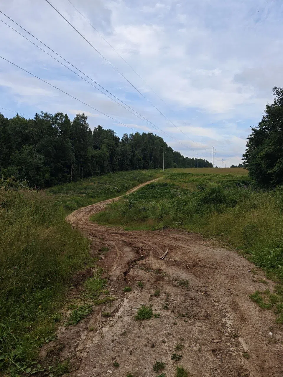 Поля, луга, дороги, фото 1