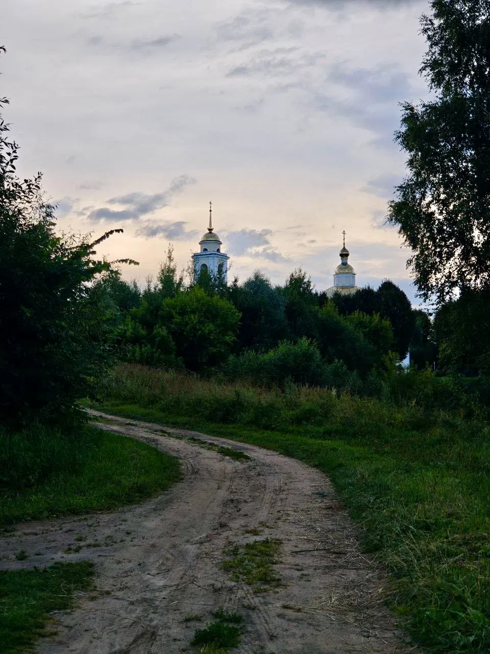 Поля, луга, дороги, фото 13